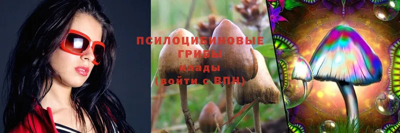 Псилоцибиновые грибы Psilocybe  цена   Балаково 