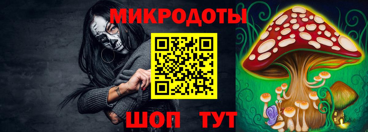 Галлюциногенные грибы GOLDEN TEACHER  Балаково  Псилоцибиновые грибы прущие грибы 